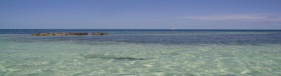 The Harrington Review